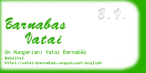 barnabas vatai business card